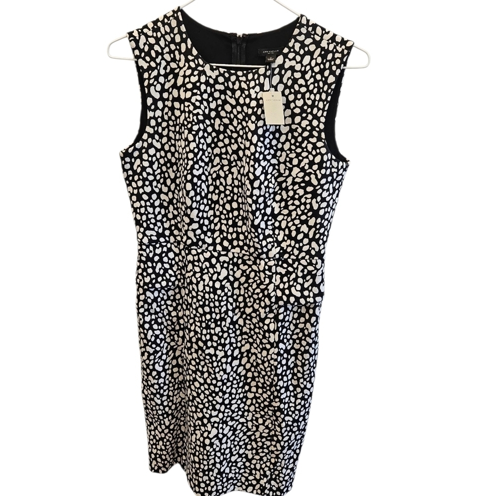 Ann Taylor Black White Fitted Dress Career NEW Womens